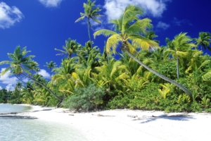 Palm Beach Solomon Islands4811910339 300x200 - Palm Beach Solomon Islands - Solomon, Palm, Lagoon, Islands, Beach